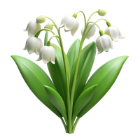 Lily of the Valley