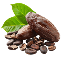 Cacao / Cocoa