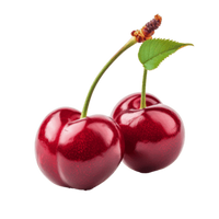 Sour Cherry