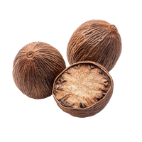 Nutmeg