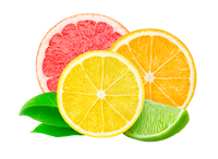 Citrus (including mandarin/other citruses)