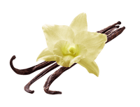 Vanilla/Musk nuances  ￼