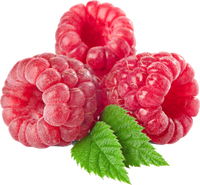 Raspberry