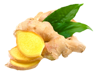 Ginger