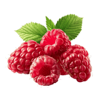 Raspberry