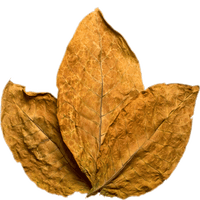 Tobacco Leaf
